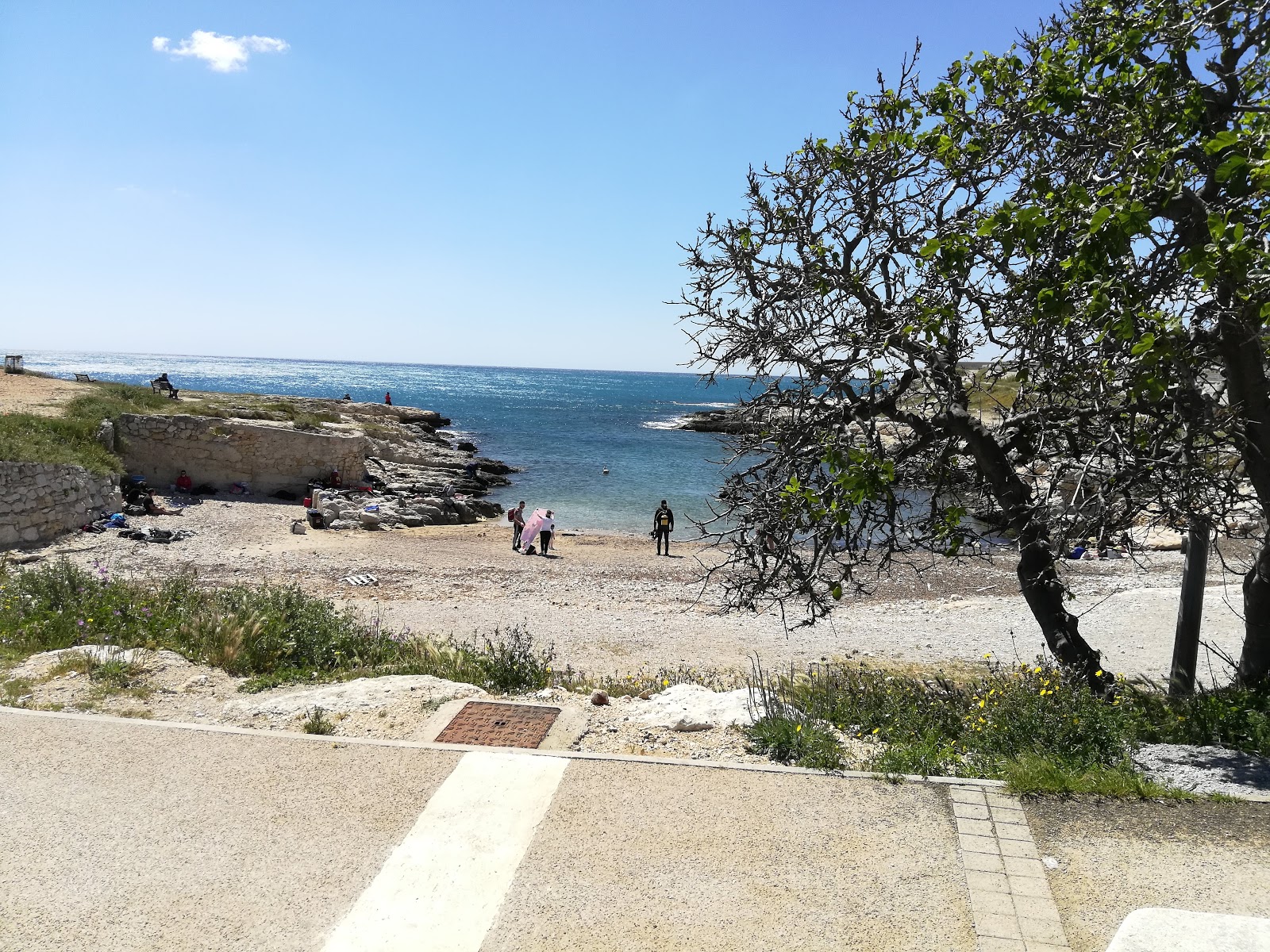 Fotografija Anse du Petit Nid z turkizna čista voda površino