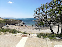 Anse du Petit Nid'in fotoğrafı geniş ile birlikte