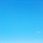 Photo n°8 de l'avis de Barbara. fait le 08/10/2022 à 09:34 sur le  C'era una volta à Lido di Capoliveri