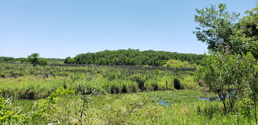 Tourist Attraction «Black Bear Wilderness Trailhead», reviews and photos, 5298 Michigan Ave, Sanford, FL 32771, USA