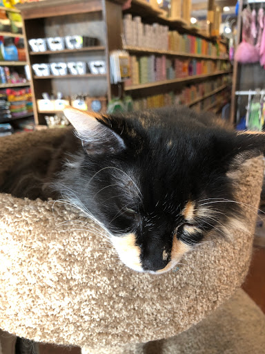 Pet Supply Store «Pet Foods Market & Supplies», reviews and photos, 1816 N Sepulveda Blvd, Manhattan Beach, CA 90266, USA