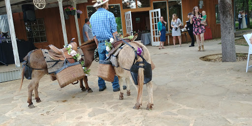 Wedding Venue «Dimebox Ballroom at Fire and Ice Hall», reviews and photos, 715 Young Ranch Rd, Georgetown, TX 78633, USA