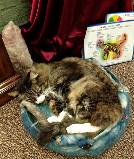 Gift Shop «Spirals of Joy», reviews and photos, 215 E Woodin Ave, Chelan, WA 98816, USA