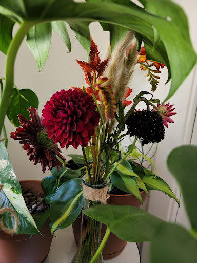 Florist «The Flower Shack», reviews and photos, 614 S Branciforte Ave, Santa Cruz, CA 95062, USA