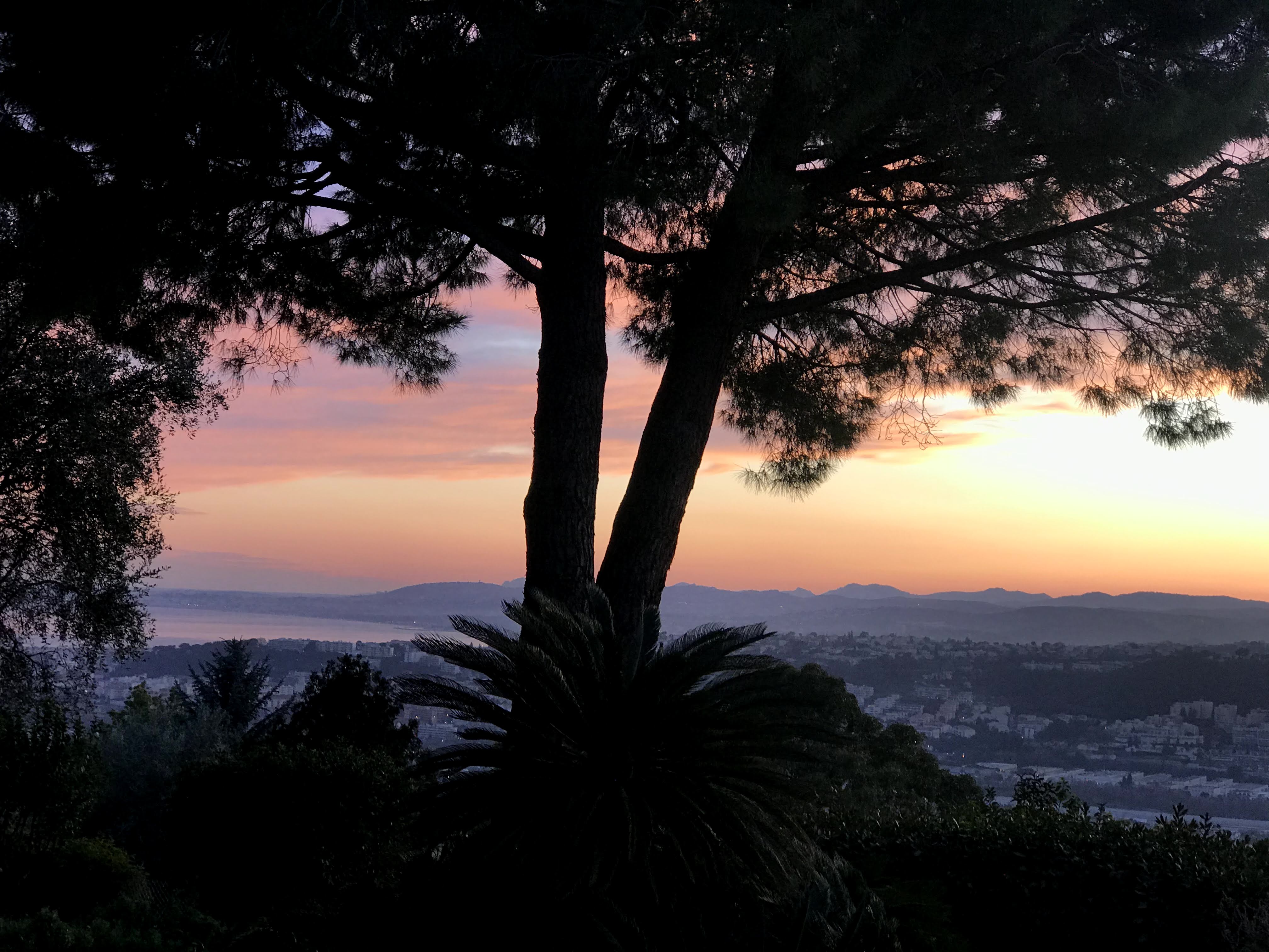 Photo n° 2 de l'avis de Laurine.a fait le 08/03/2020 à 22:28