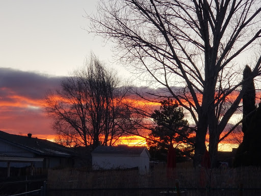 Park «Centennial Park», reviews and photos, 3333 Harrison St, Kingman, AZ 86409, USA