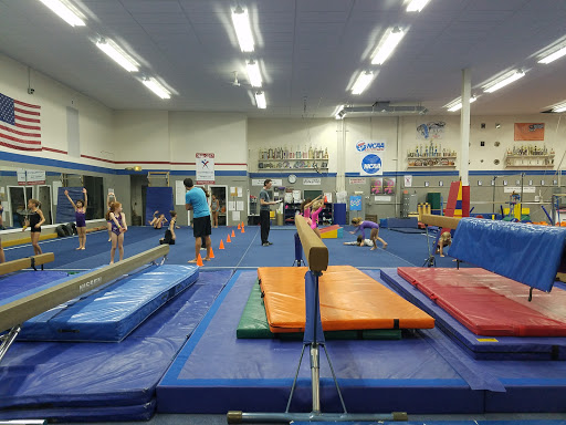 Gymnastics Plus LLC