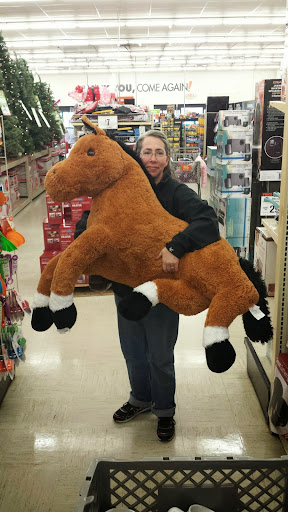 Discount Store «Big Lots», reviews and photos, 467 W Penn Ave, Cleona, PA 17042, USA