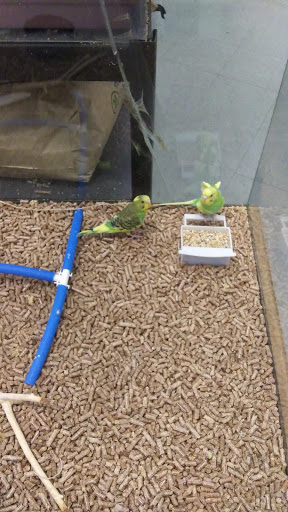 Pet Store «Critters & Co Pet Center», reviews and photos, 11042 WA-525, Clinton, WA 98236, USA