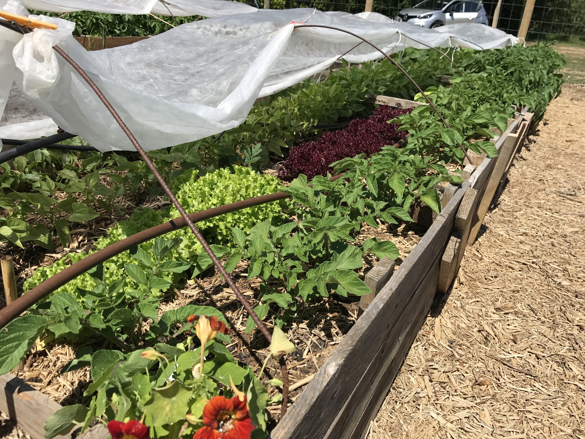 Photo n° 2 de l'avis de VINCENT.A fait le 23/05/2017 à 14:51