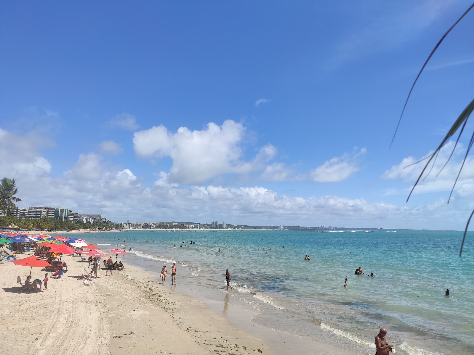 Fotografie cu Plaja Ponta Verde - locul popular printre cunoscătorii de relaxare