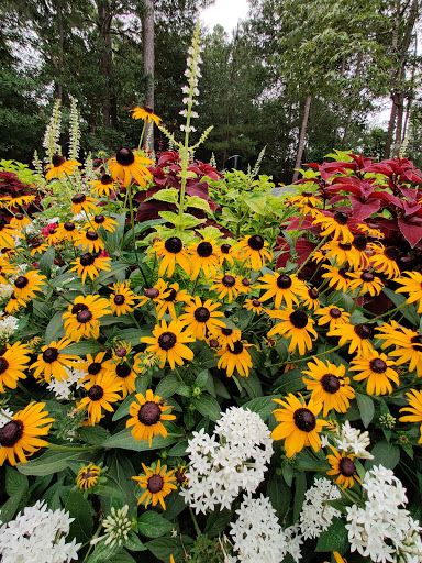 Park «Cy-Champ Park», reviews and photos, 14619 Cutten Rd, Houston, TX 77070, USA