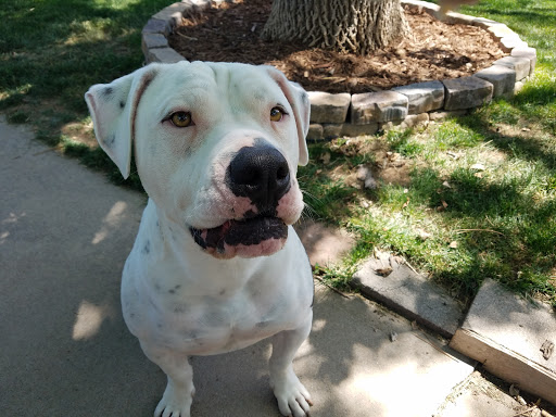 Animal Care Hospital image
