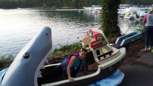 Marina «Mitchell Creek Marina», reviews and photos, 1260 Livingston Boat Dock Rd, Allons, TN 38541, USA