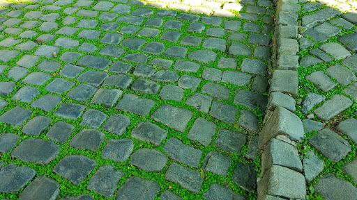 Art Museum «The Cloisters», reviews and photos, 99 Margaret Corbin Dr, New York, NY 10040, USA