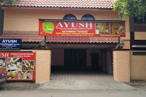 Swe Ayush ayurvedic massage image