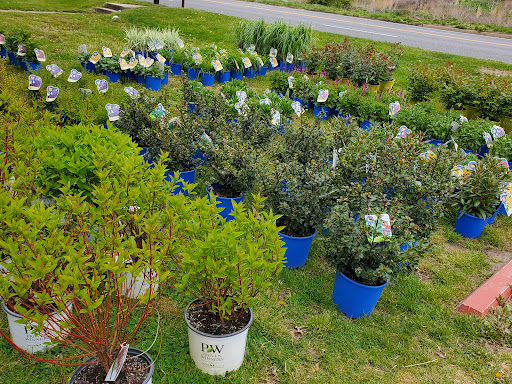 Produce Market «Puglias Produce», reviews and photos, 381 Fries Mill Rd, Sewell, NJ 08080, USA