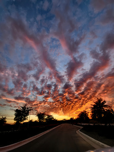 Insurance Agency «USAA», reviews and photos