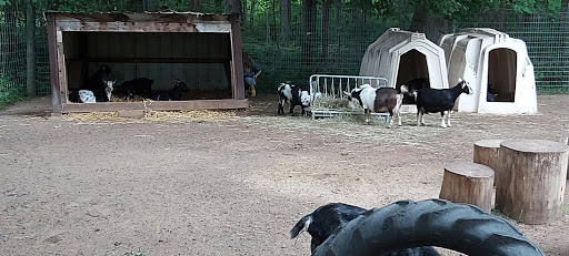 Zoo «Wilderness Trails Zoo», reviews and photos, 11721 Gera Rd, Birch Run, MI 48415, USA