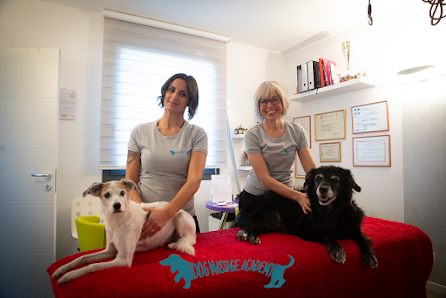 Dog Massage Academy - Italy 