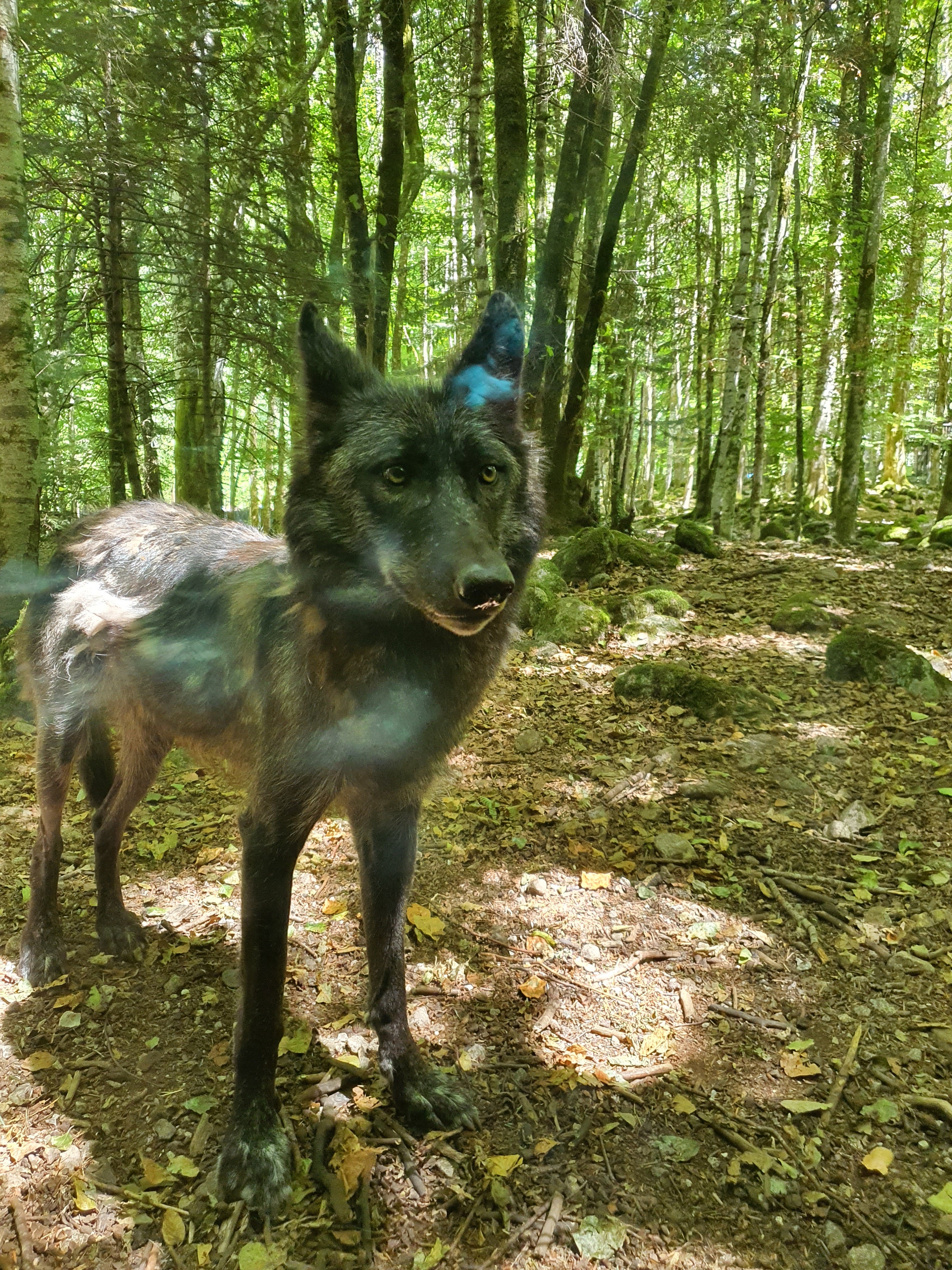 Photo n° 2 de l'avis de Fanny.A fait le 04/08/2022 à 05:12