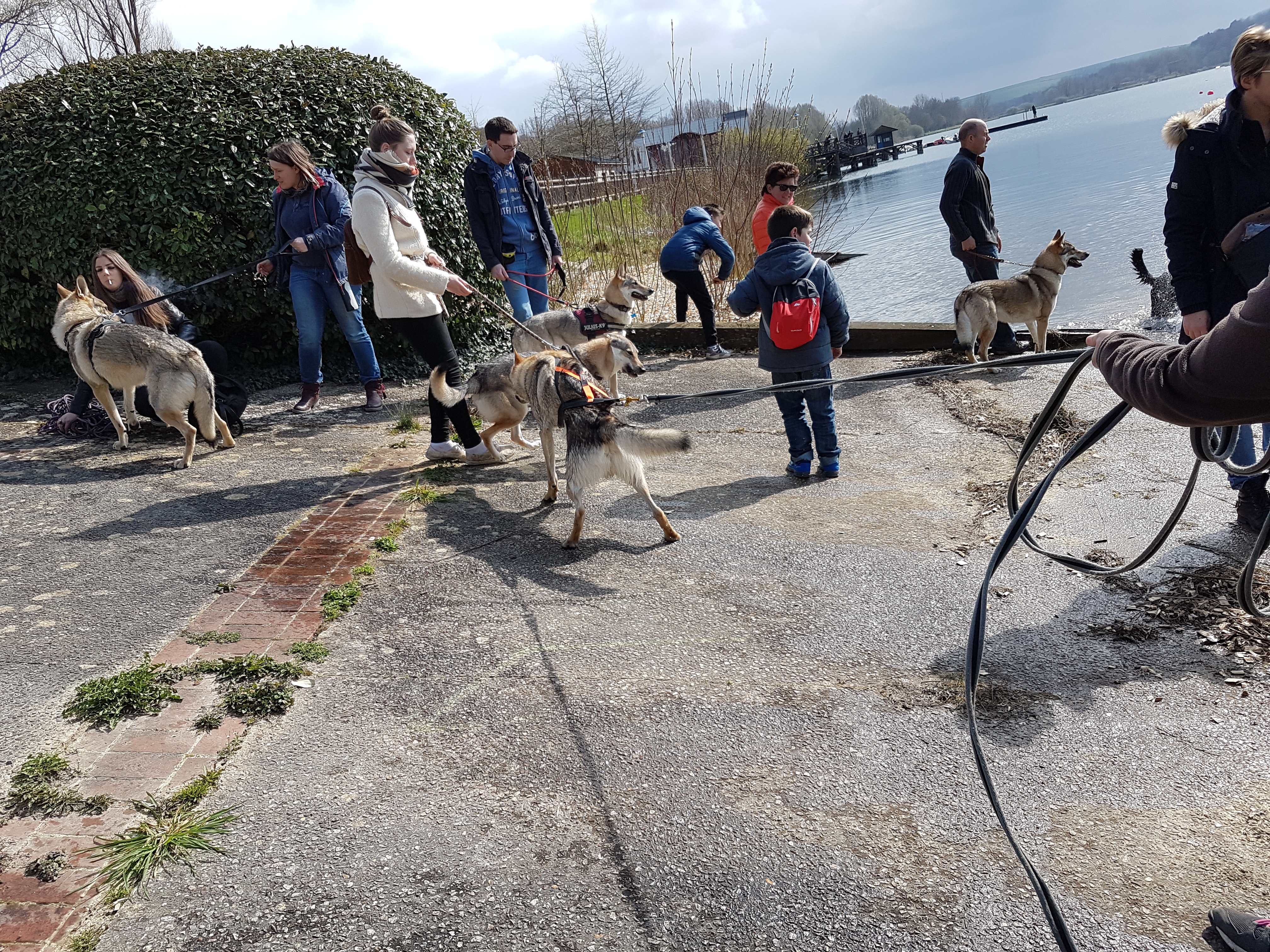 Photo n° 1 de l'avis de Elodie.e fait le 28/03/2019 à 11:49