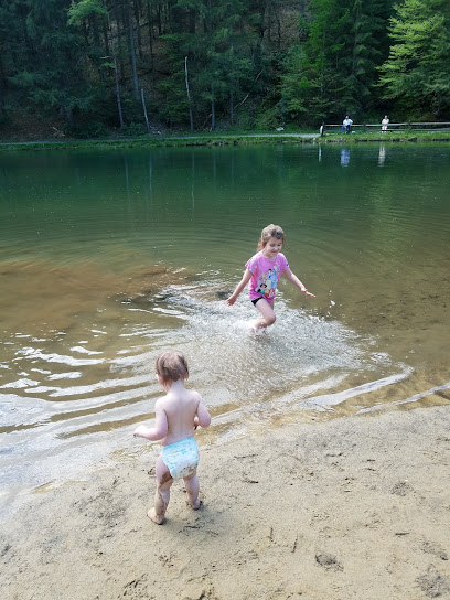 Clear Creek State Park Swimming Pond
