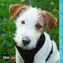 Sitka Farms - Photo 9 - Car repair in Fort Lauderdale, FL, Fort Lauderdale