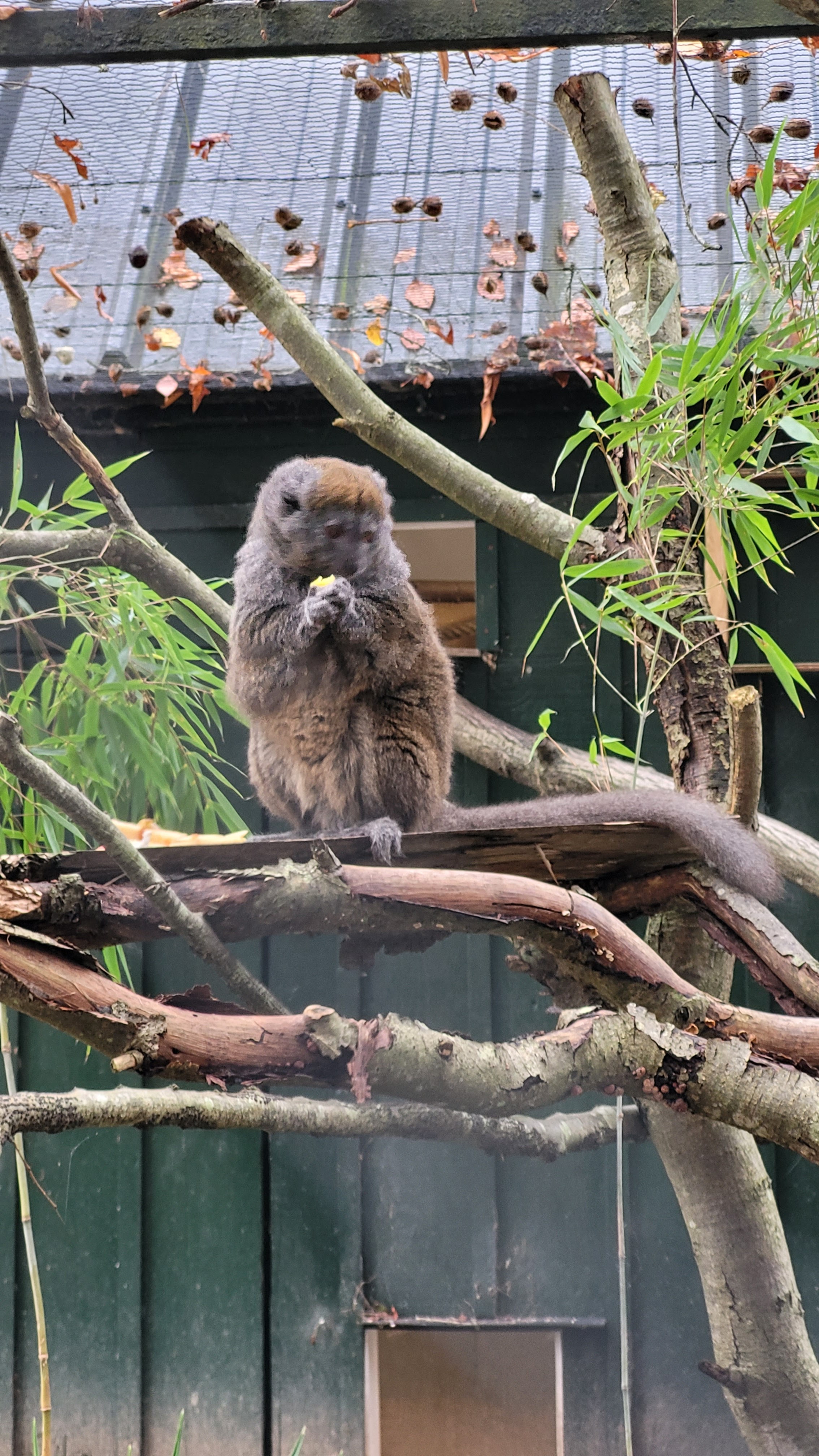 Photo n° 7 de l'avis de Sophie.a fait le 22/11/2023 à 15:36