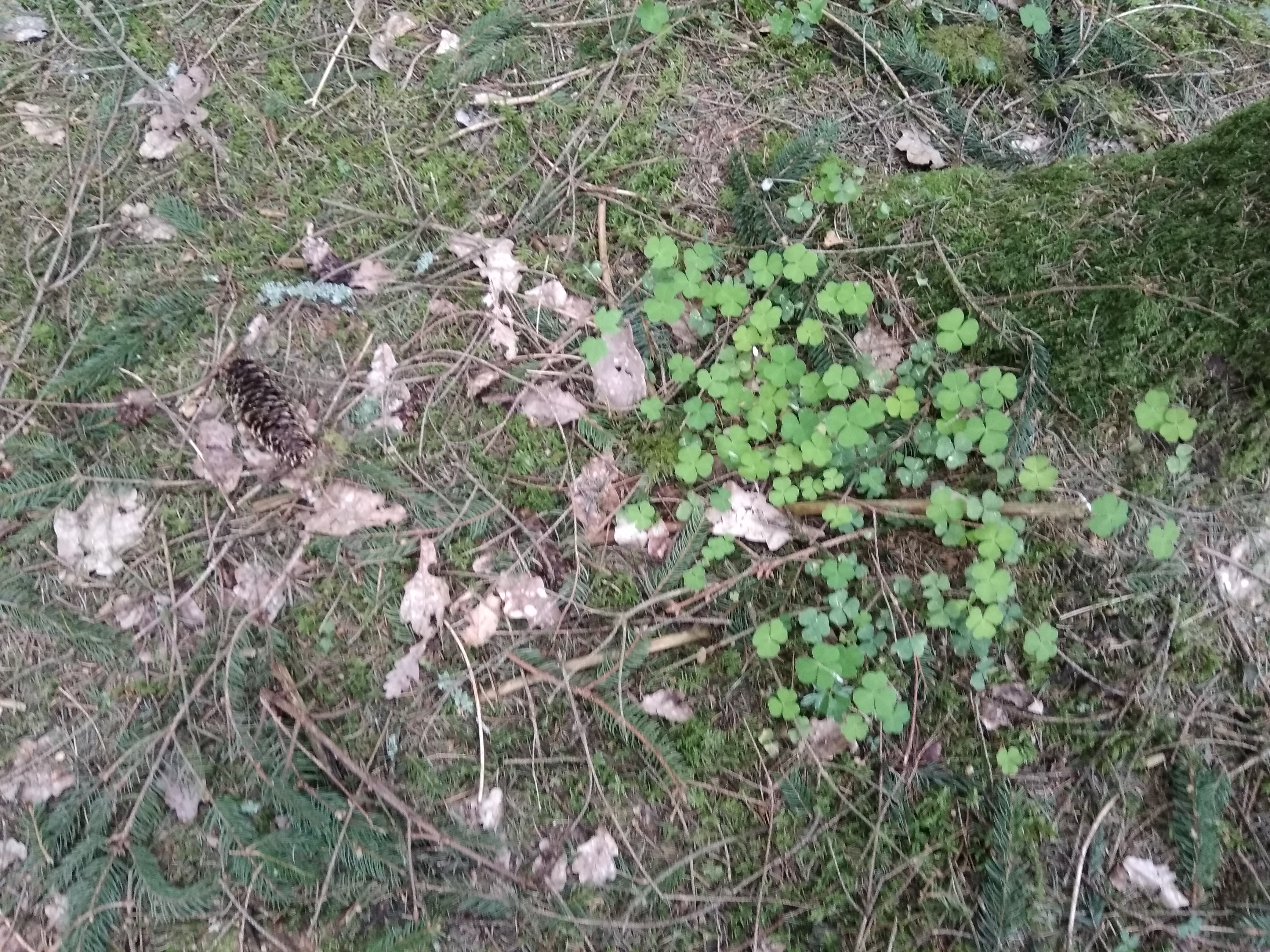 Photo n° 2 de l'avis de Vanessa.. fait le 26/04/2018 à 20:21