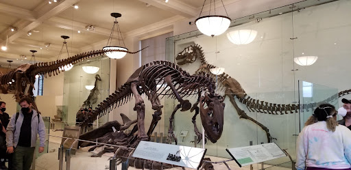 Furniture Store «La-Z-Boy Furniture Galleries», reviews and photos, 919 Viewmont Dr, Scranton, PA 18519, USA