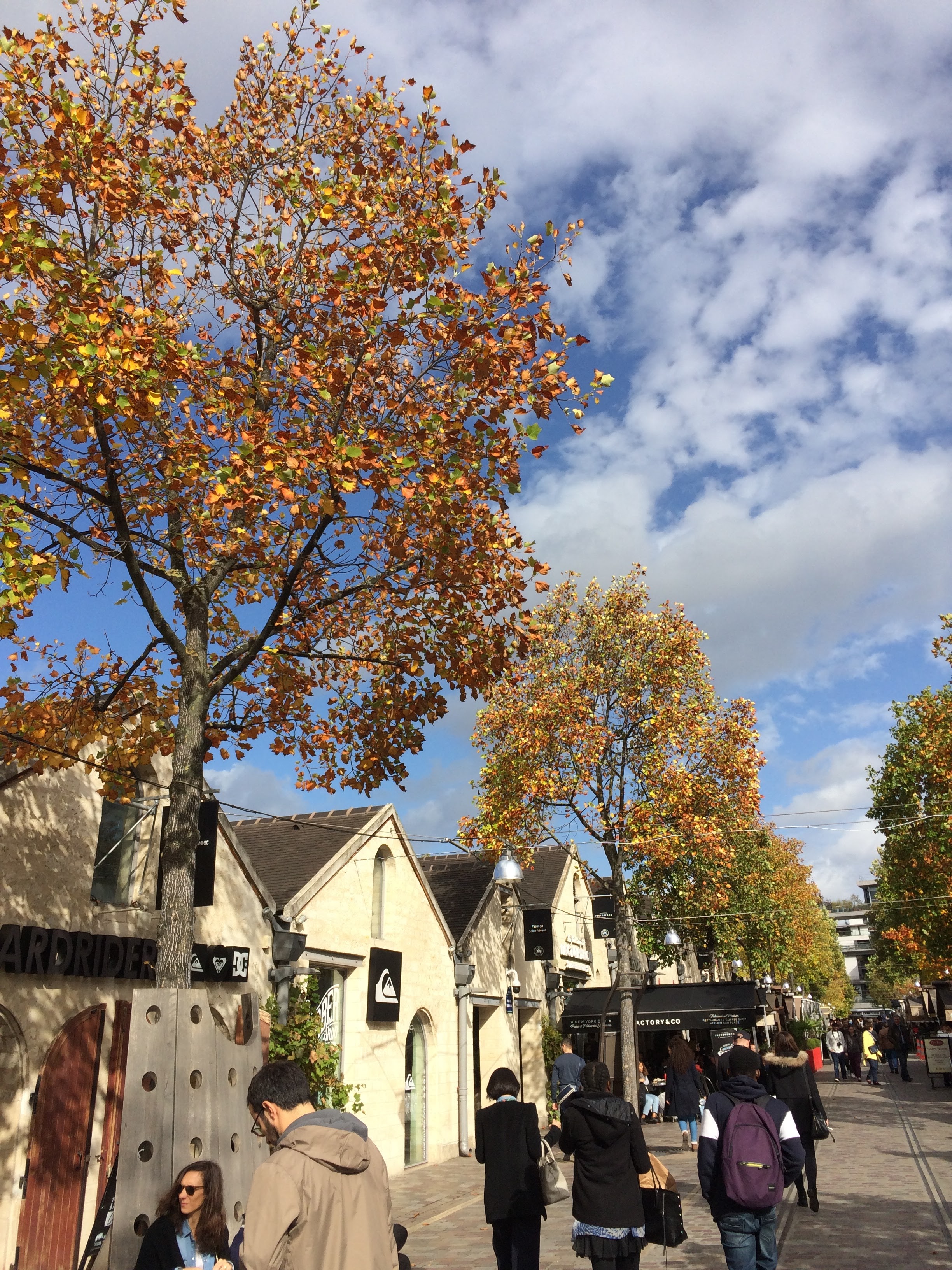 Photo n° 9 de l'avis de Samy.a fait le 25/10/2017 à 08:11