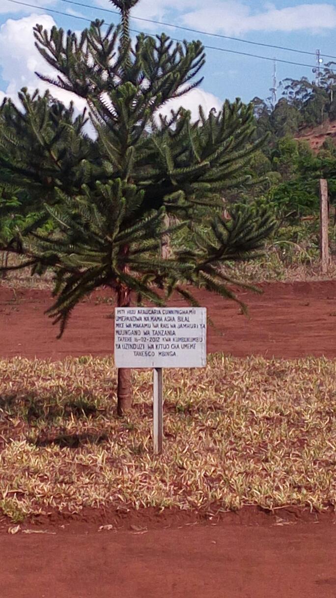 Tanesco power station Mbinga