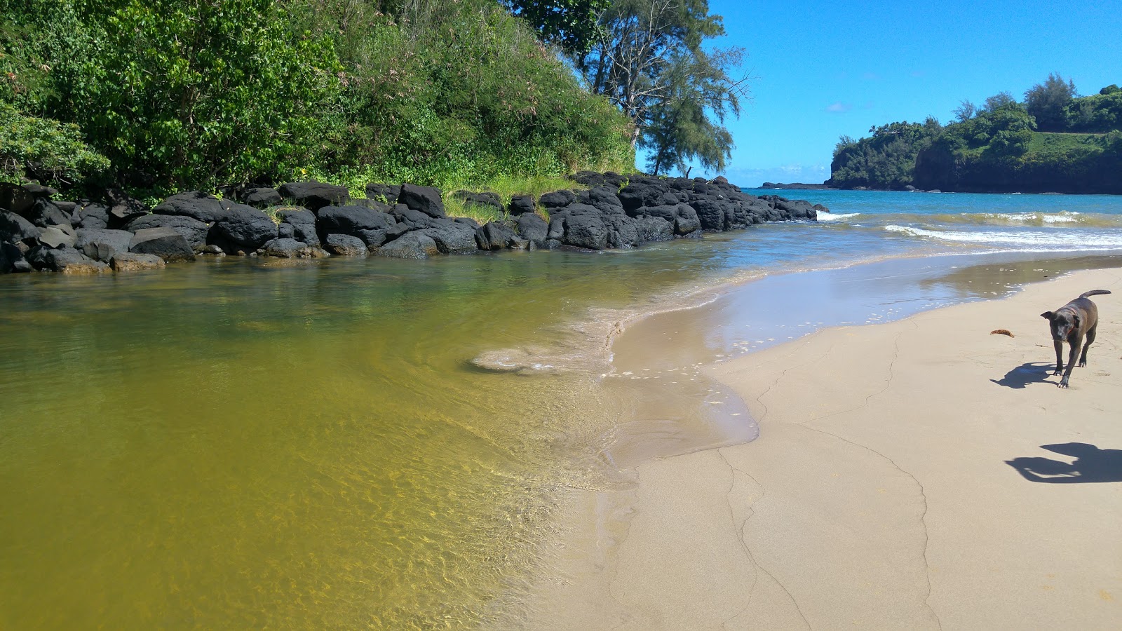 Foto de Kalihiwai Beach respaldado por acantilados