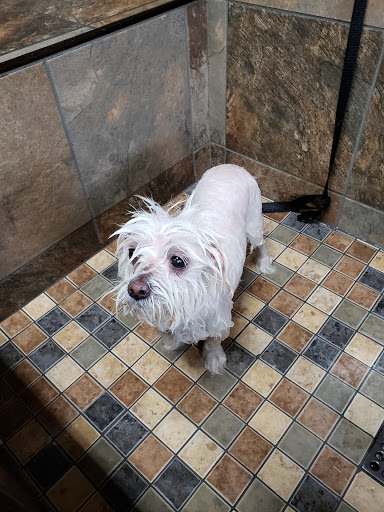 Pet Supply Store «Pet Valu», reviews and photos, 411 Valley Brook Ave, Lyndhurst, NJ 07071, USA