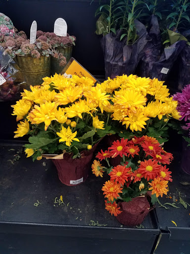 Grocery Store «Grocery Outlet Bargain Market», reviews and photos, 23910 104th Ave SE, Kent, WA 98031, USA