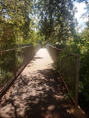 Five Mile Recreation Area - photo 5