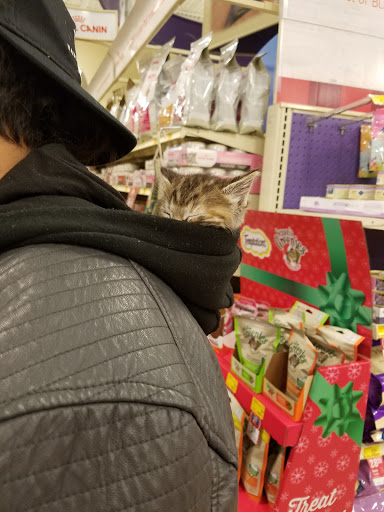 Pet Supply Store «PetSmart», reviews and photos, 2500 Posner Blvd, Davenport, FL 33837, USA