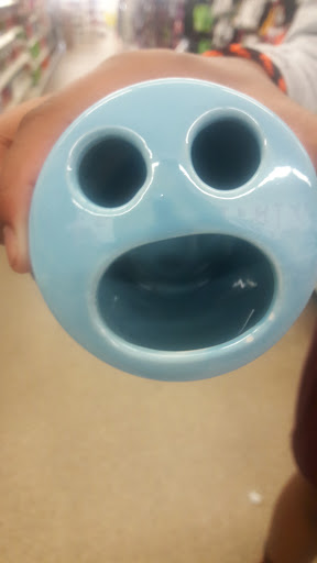 Dollar Store «Dollar Tree», reviews and photos, 4015 Holcomb Bridge Rd #500, Norcross, GA 30092, USA