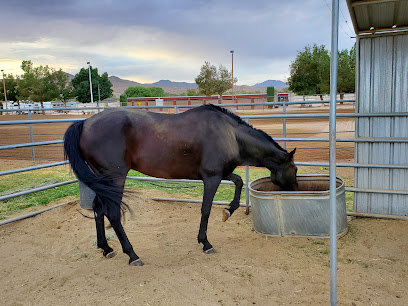 Equestrian Center