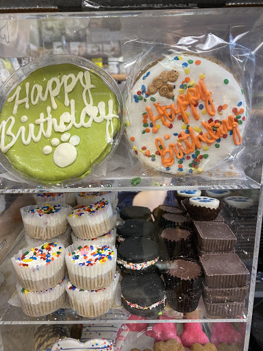 Pet Supply Store «Dawg City Inc.», reviews and photos, 38 Pearson St, Andover, MA 01810, USA