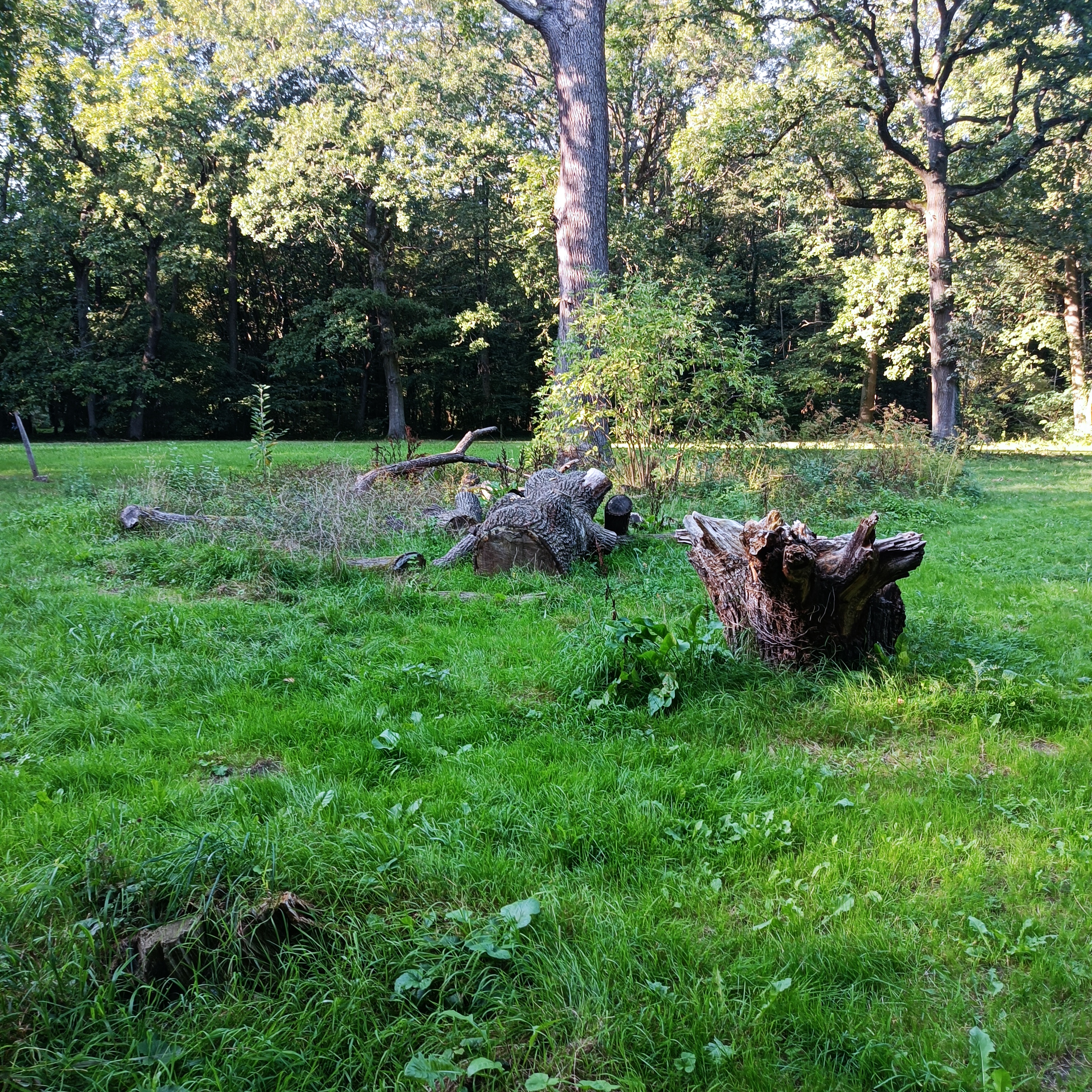 Photo n° 1 de l'avis de frederic.a fait le 26/07/2022 à 11:35