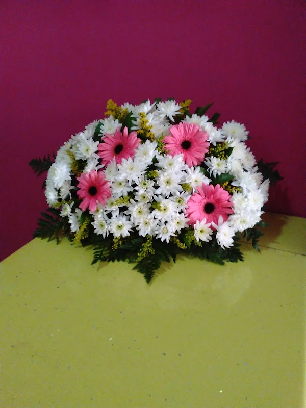 Floristería Ntra Sra De La Soledad