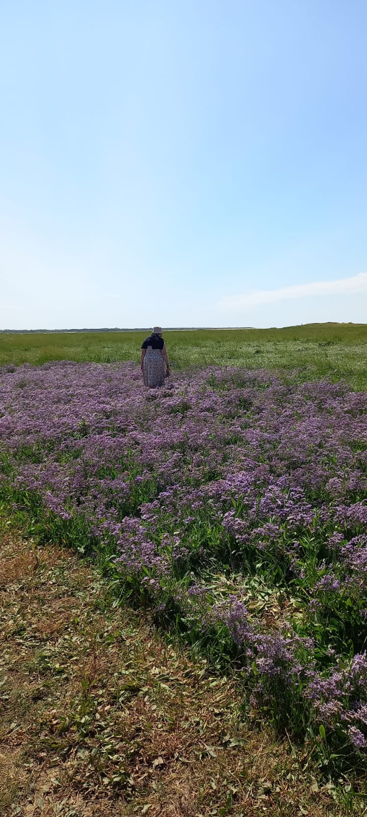 Photo n° 19 de l'avis de D. fait le 28/07/2023 à 18:53