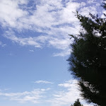 Photo n°4 de l'avis de Simonetta.a fait le 08/10/2022 à 11:43 sur le  Agriturismo Camigliatello Fattoria Biò à Camigliatello Silano