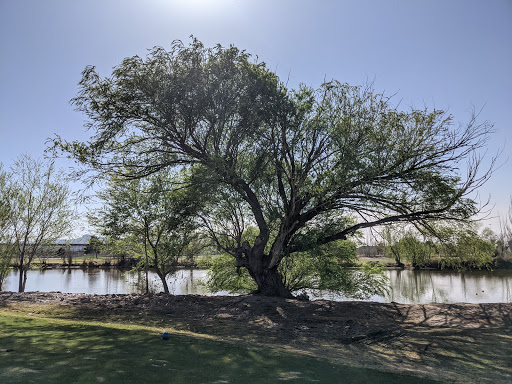 Golf Course «Ascarate Golf Course», reviews and photos, 6900 Delta Dr, El Paso, TX 79905, USA