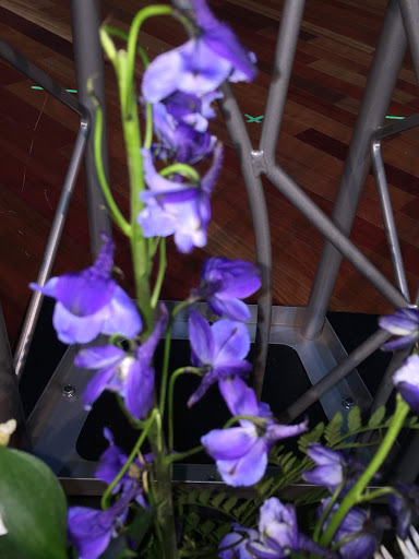 Florist «Blossom Flower Shop», reviews and photos, 906 N Frazier St, Conroe, TX 77301, USA