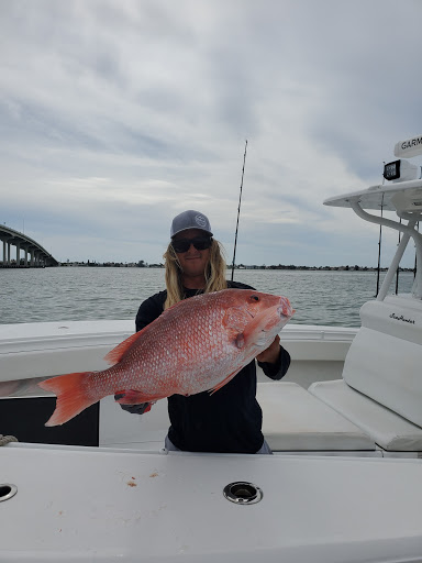 Bait Shop «Angler 360 Bait Tackle and Apparel Co. Belleair Causeway», reviews and photos, 3900 W Bay Dr, Belleair Bluffs, FL 33770, USA