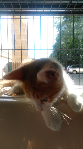 Pet Store «Pet Valu», reviews and photos, 49 East City Line Ave, Bala Cynwyd, PA 19004, USA