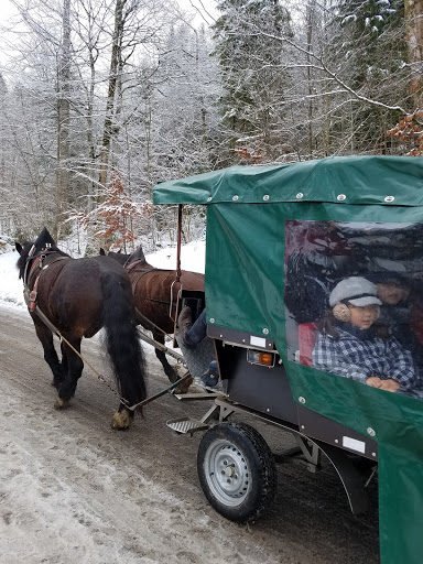 Drug Store «Walgreens», reviews and photos, 750 E 120th Ave, Northglenn, CO 80233, USA